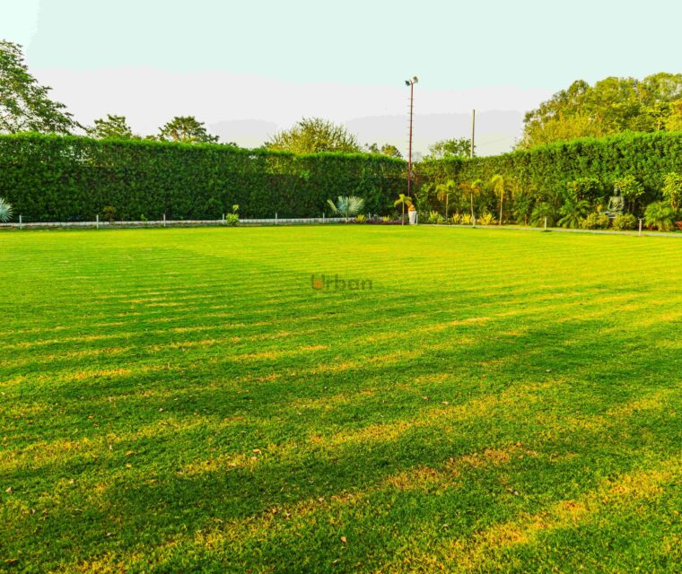 12a