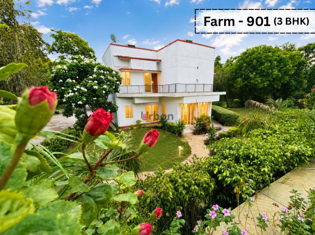 Farmhouse 901 photo 1