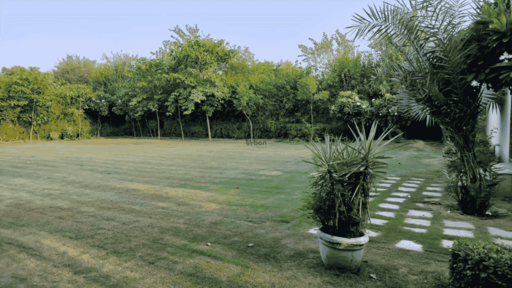 Farmhouse 1202 photo 2