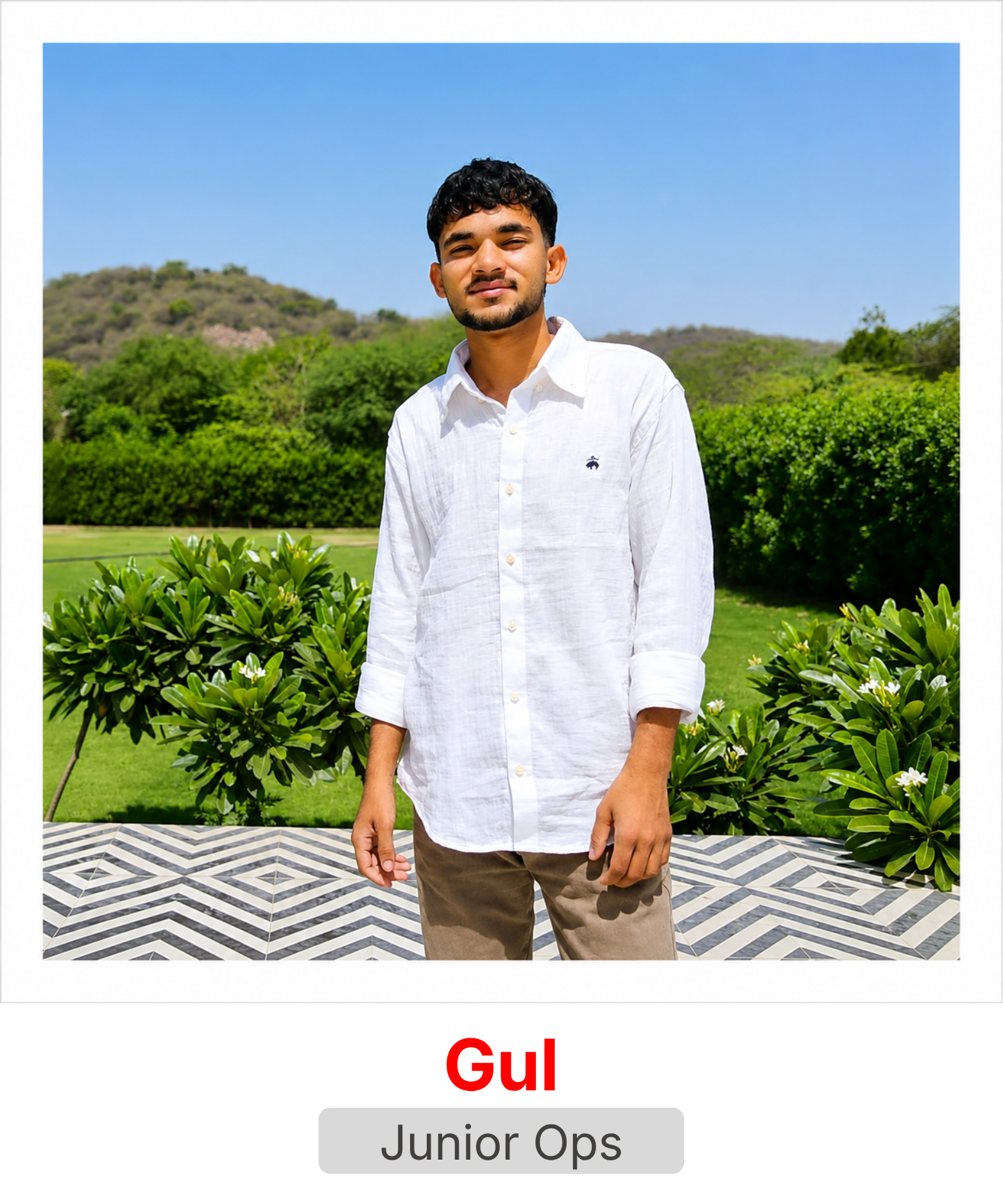 Gul